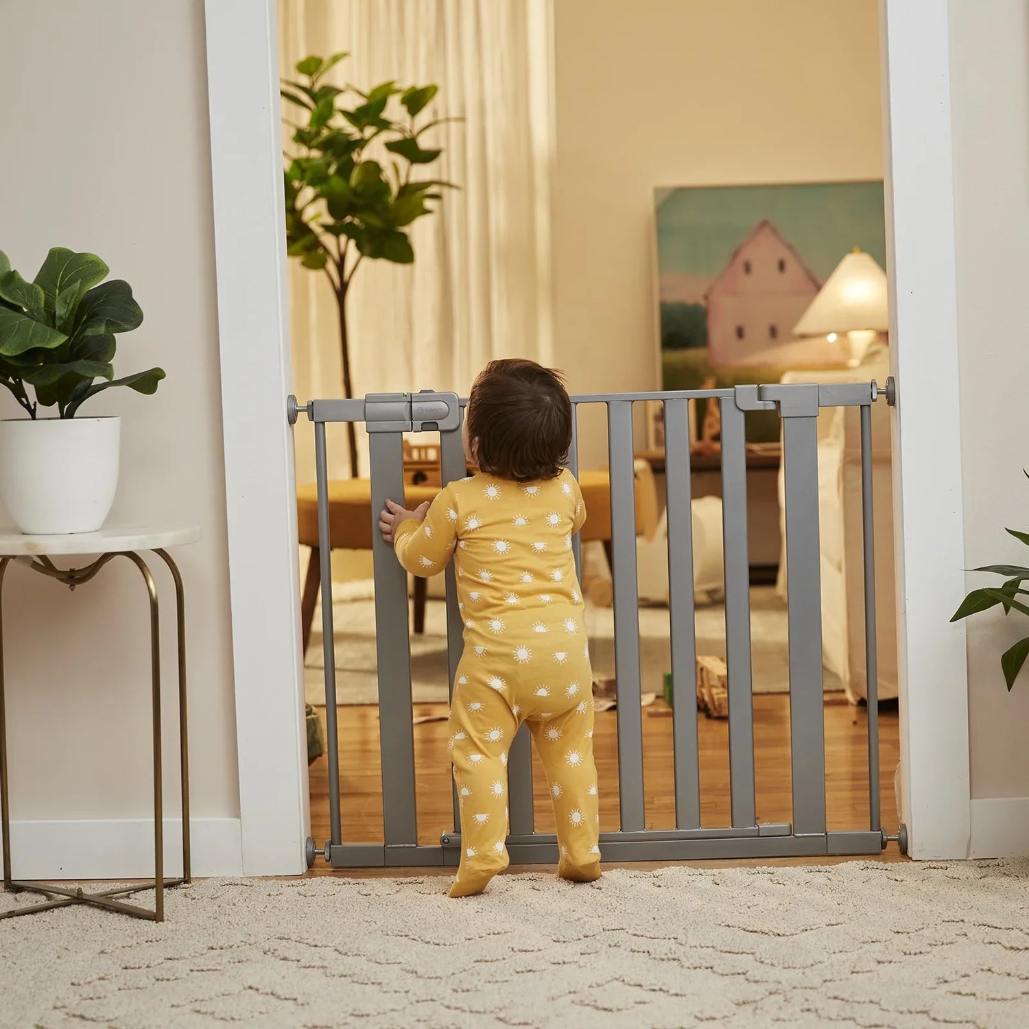 Safety Gates