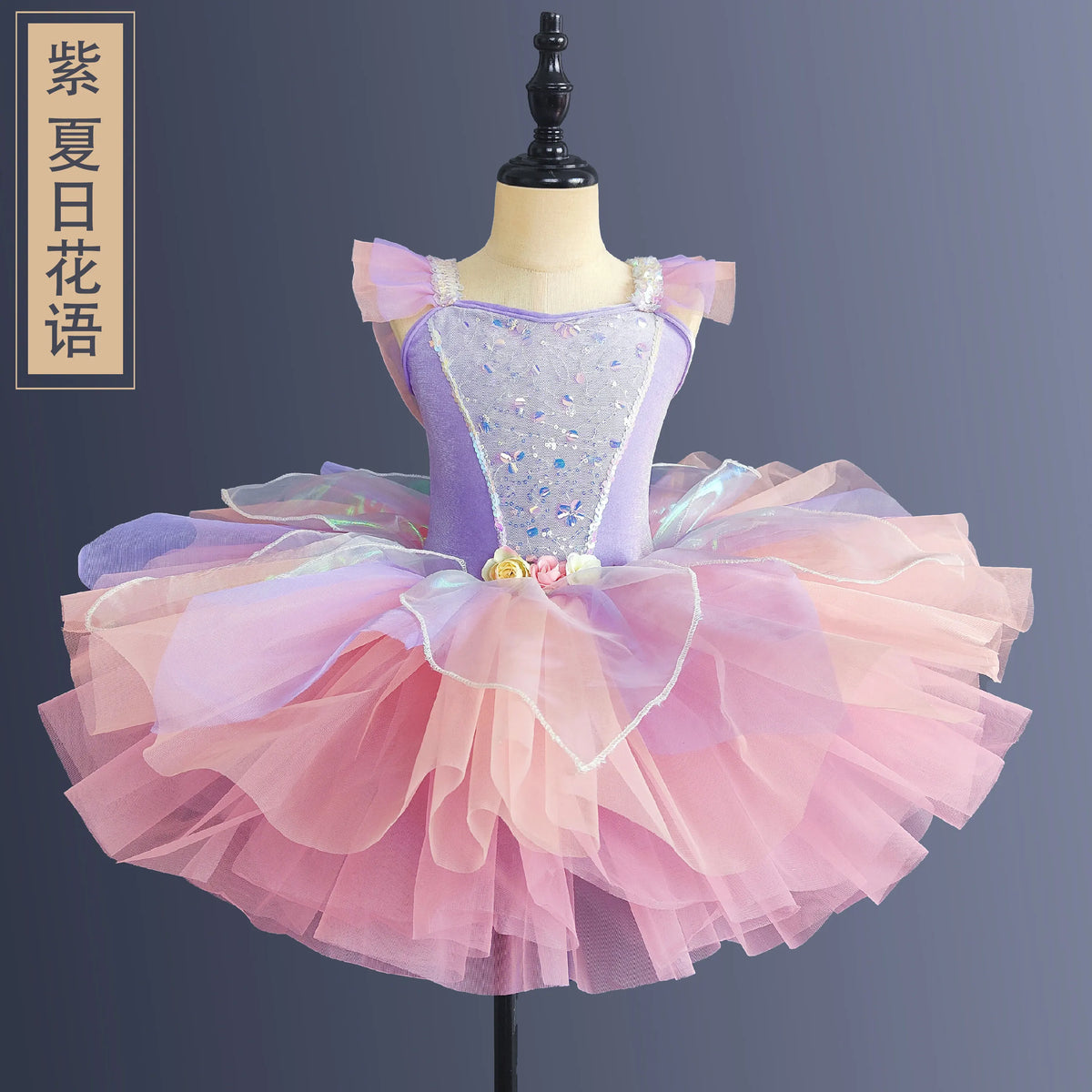Ballet Dress Girls Tutu Performance Costume Children's Cute Sequined Princess Dress Performance Costume and Other Summer Dress