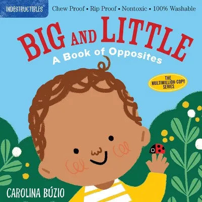 Children's Picture Book - Indestructibles (the Original): Big and Little: a Book Of, Paperback, 12 Pages, Ages 0 to 2 Years